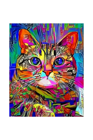 Renkli Kedi 2 Sayılarla Boyama Seti ürün görseli 1