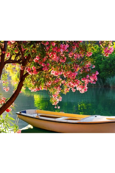 Canvas Göldeki Sandal Sayılarla Boyama Seti Rulo ürün görseli