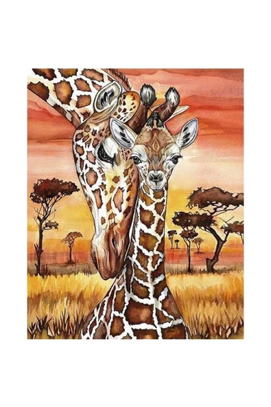 Canvas Zürafa ve Yavrusu Sayılarla Boyama Seti  Kasnaklı 70 x 90 cm