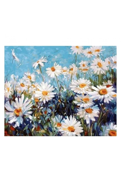 Canvas Papatya Tarlası Sayılarla Boyama Seti  Kasnaklı 70 x 90 cm ürün görseli 1