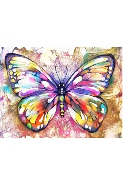 Canvas Renkli Kelebek Sayılarla Boyama Seti Rulo ürün görseli 1