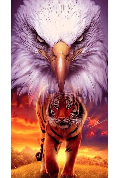 Canvas Kaplan Ve Kartal Sayılarla Boyama Seti Kasnaklı 40 X 50 Cm ürün görseli 1