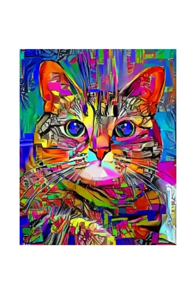 Canvas Renkli Kedi 2 Sayılarla Boyama Seti  Kasnaklı 90 x 110 cm