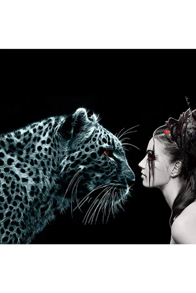 Canvas Kaplanın Duruşu Sayılarla Boyama Seti Rulo ürün görseli 1