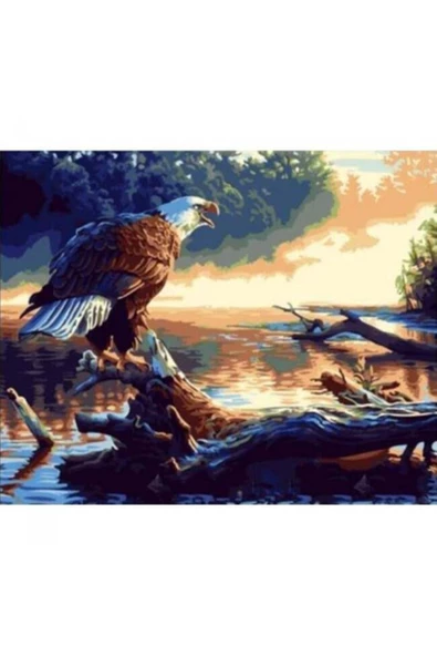 Canvas Göldeki Kartal Sayılarla Boyama Seti Kasnaklı 40 X 50 Cm