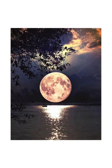 Canvas Dolunay Sayılarla Boyama Seti Rulo ürün görseli 1