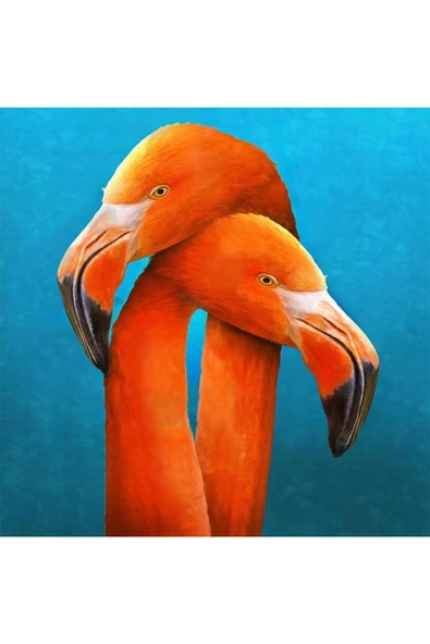 Canvas Sarilan Flamingo Sayılarla Boyama Seti  Kasnaklı 50 x 65 cm ürün görseli 1