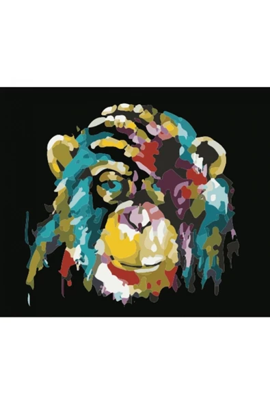 Canvas Maymun Renkli Sayılarla Boyama  Seti  Kasnaklı 50 x 65 cm ürün görseli 1