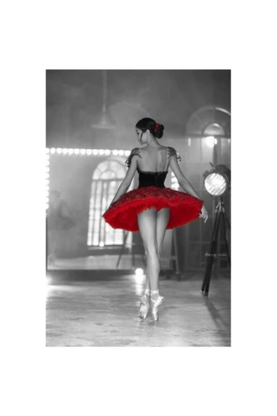 Canvas Balerin Duruşu Sayılarla Boyama Seti Rulo ürün görseli 1