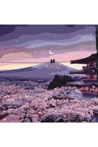 Canvas Romantik Çin Kedileri Sayılarla Boyama Seti  Kasnaklı 90 x 110 cm ürün görseli 1