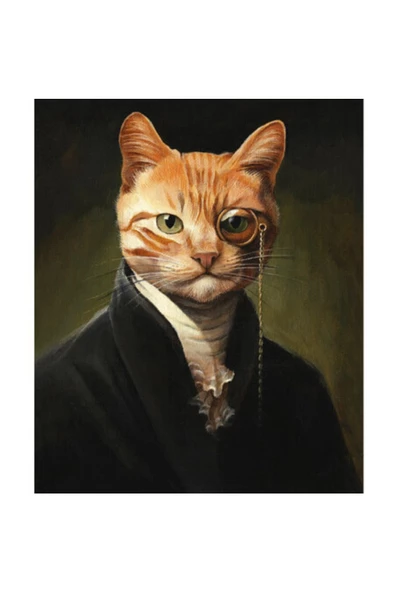 Canvas Kedinin Asilliği Sayılarla Boyama Seti  Kasnaklı 70 x 90 cm ürün görseli 1