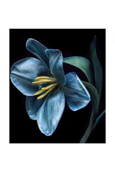 Canvas Yaşam Çiçeği 3 Sayılarla Boyama  Seti  Kasnaklı 70 x 90 cm ürün görseli 1