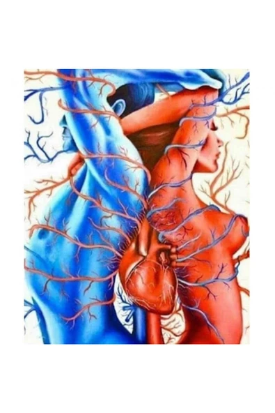 Canvas Derin Bağ Sayılarla Boyama Seti  Kasnaklı 50 x 65 cm ürün görseli