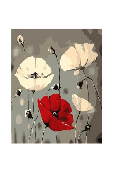 Canvas Beyaz ve Kırmızı Gelincik Sayılarla Boyama Seti Rulo ürün görseli 1