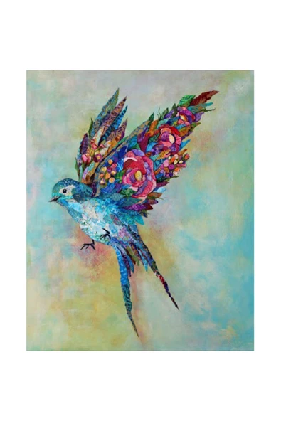 Canvas Cennet Kuşu Sayılarla Boyama Seti  Kasnaklı 50 x 65 cm ürün görseli 1