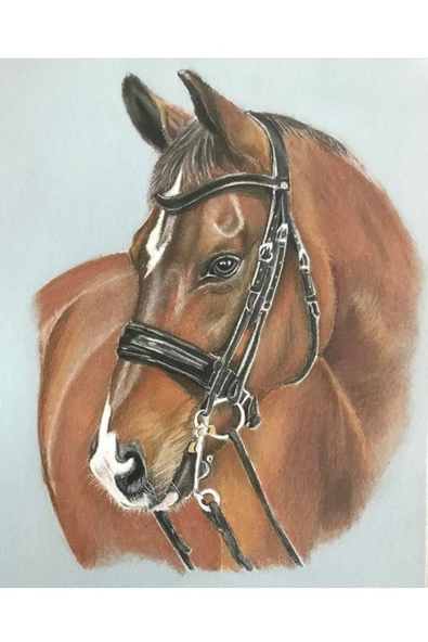 Canvas Düşlerdeki At Sayılarla Boyama Seti  Kasnaklı 70 x 90 cm ürün görseli