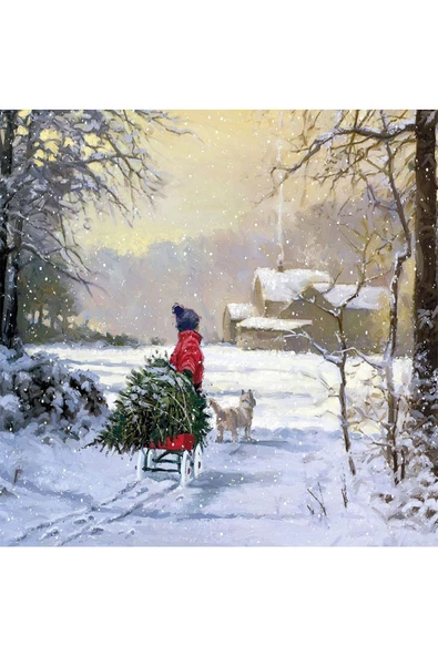 Canvas Kış Manzarası Sayılarla Boyama Seti  Rulo ürün görseli 1
