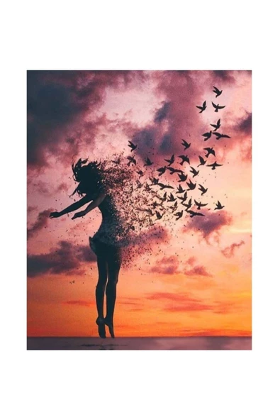 Uçan Kadın Sayılarla Boyama Seti Çerçeveli Kasnaklı ürün görseli 1