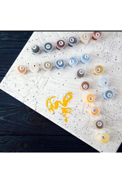 Canvas Tutkulu Kadın 2 Sayılarla Boyama Seti Rulo - 3