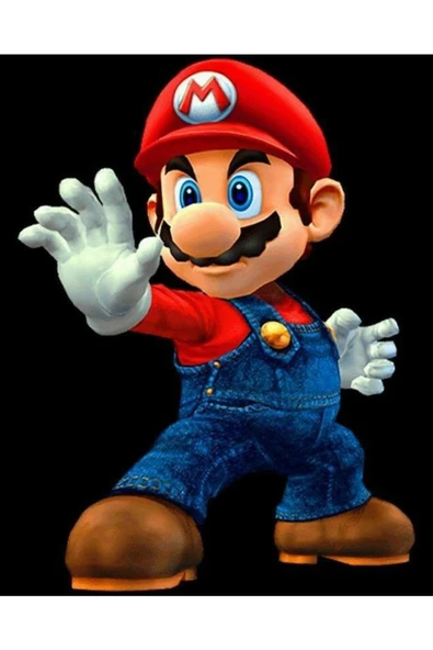 Canvas Mario Sayılarla Boyama Seti  Kasnaklı 40 x 50 cm ürün görseli 1