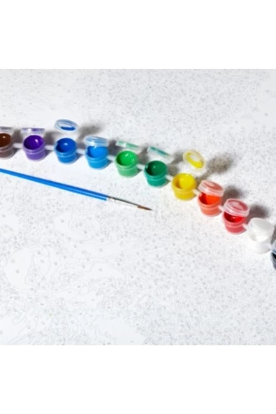 Canvas Çiçek Kadın 9 Renkli Sayılarla Boyama Seti Rulo - Resim 5