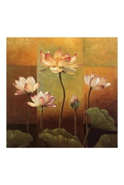 Canvas Narin Çiçekler Sayılarla Boyama Seti  Kasnaklı 40 x 50 cm ürün görseli 1