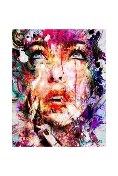 Canvas Renkli Düş Sayılarla Boyama Seti  Kasnaklı 60 x 75 cm ürün görseli 1