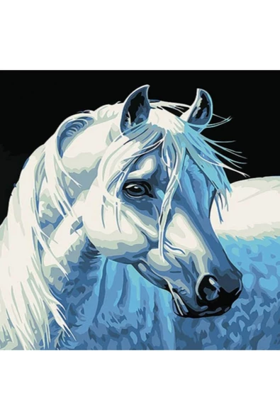 Canvas Yıldız At Sayılarla Boyama Seti Rulo ürün görseli 1