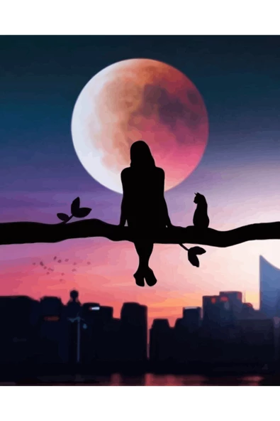 Canvas Dolunayda Manzara Keyfi Sayılarla Boyama SetiRulo ürün görseli 1