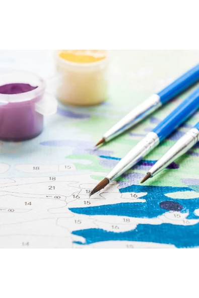 Canvas Tutkulu Kadın 2 Sayılarla Boyama Seti Rulo - 4