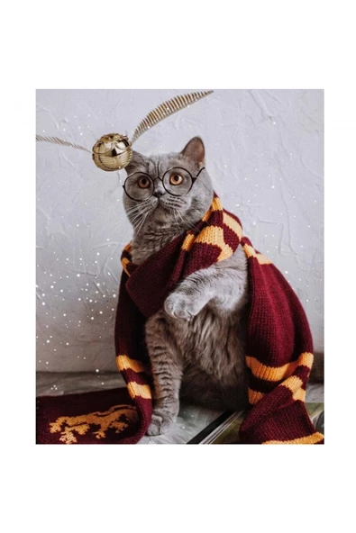 Canvas Atkılı Kedi Sayılarla Boyama Seti Rulo