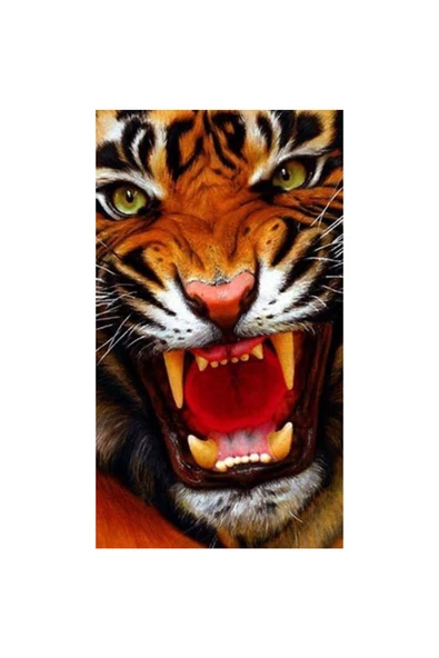 Canvas Vahşi Kaplan 2 Sayılarla Boyama Seti Rulo ürün görseli 1