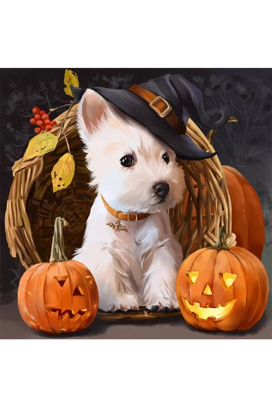 Canvas Cadılar Bayramı Ve Köpek Sayılarla Boyama Seti   Kasnaklı 90 x 110 cm ürün görseli 1