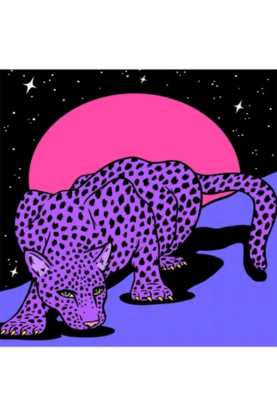 Canvas Uzaydaki Leopar Sayılarla Boyama Seti  Kasnaklı 40 x 50 cm ürün görseli