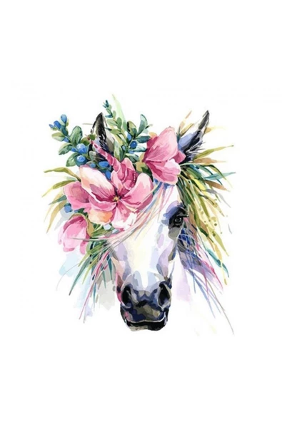 Canvas Unicorn Sayılarla Boyama Seti Rulo ürün görseli 1