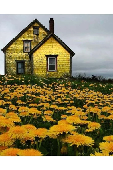 Canvas Çiçek Tarlasındaki Sarı Ev Sayılarla Boyama Seti   Kasnaklı 90 x 110 cm ürün görseli 1