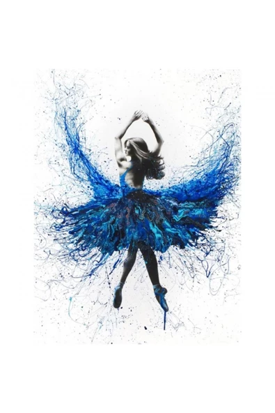 Canvas Mavi Dans Sayılarla Boyama Seti Rulo ürün görseli 1