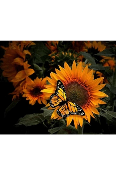 Canvas Kelebek Ve Ayçiçek Sayılarla Boyama Seti  Kasnaklı 40 x 50 cm ürün görseli 1