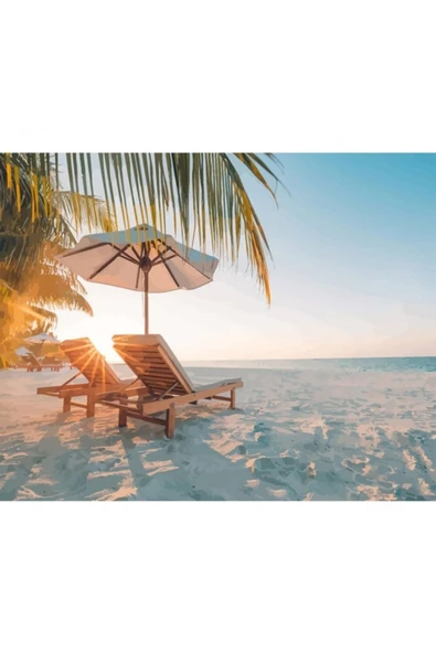 Canvas Tatil Hayatı Sayılarla Boyama Seti Rulo ürün görseli 1