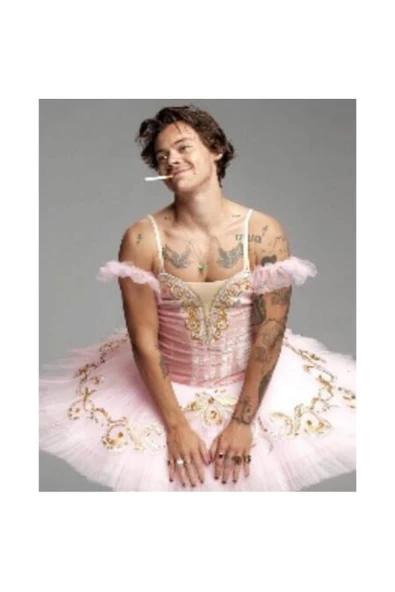 Canvas Harry Styles Sayılarla Boyama Seti Rulo ürün görseli 1