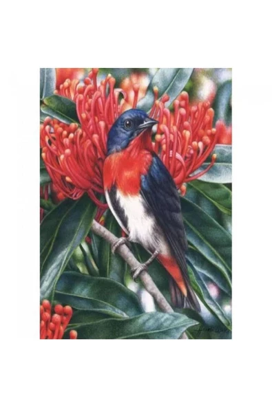 Canvas Kuş Yaşamı Sayılarla Boyama Seti Duvar Sticker Rulo 70 X 90 Cm ürün görseli 1