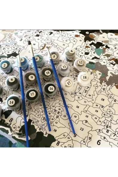 Kanvas Güzel Ayı Sayılarla Boyama Seti Kasnaklı 40x50 Cm - Resim 4