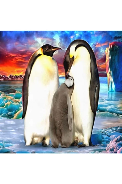 Canvas Penguen Ailesi Sayılarla Boyama Seti  Kasnaklı 90 x 110 cm ürün görseli 1