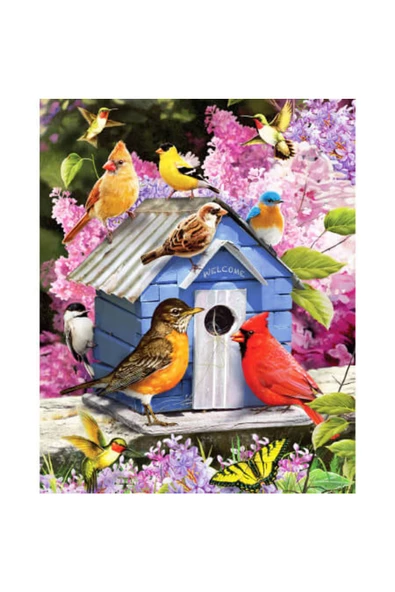 Canvas Kuşların Evi Sayılarla Boyama Seti Rulo ürün görseli 1