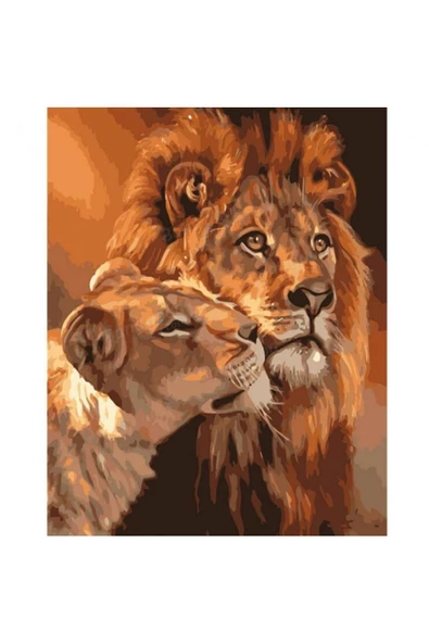 Canvas Aslanların Aşkı Sayılarla Boyama Seti Rulo ürün görseli 1