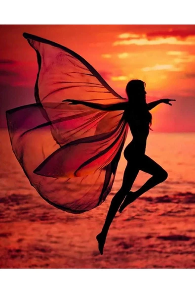 Canvas Sahildeki Kelebek Kadın Sayılarla Boyama SetiRulo ürün görseli 1