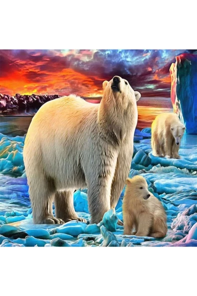 Canvas Kutup Ayılari Sayılarla Boyama Seti  Kasnaklı 90 x 110 cm ürün görseli