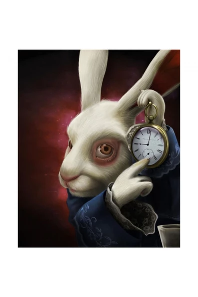 Canvas Harikalar Diyarı 2 Sayılarla Boyama Seti  Kasnaklı 100 x 140 cm