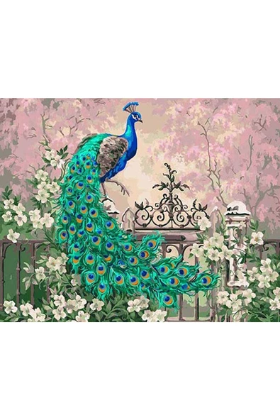 Canvas Renkli Tavuskuşu Sayılarla Boyama Seti   Kasnaklı 70 x 90 cm ürün görseli