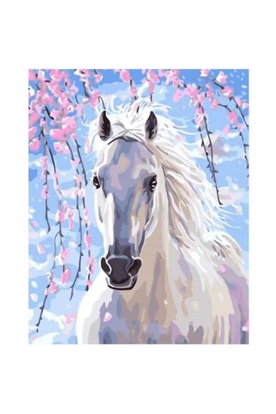 Canvas Işıltılı Orlov Sayılarla Boyama Seti  Kasnaklı 100 x 140 cm ürün görseli 1